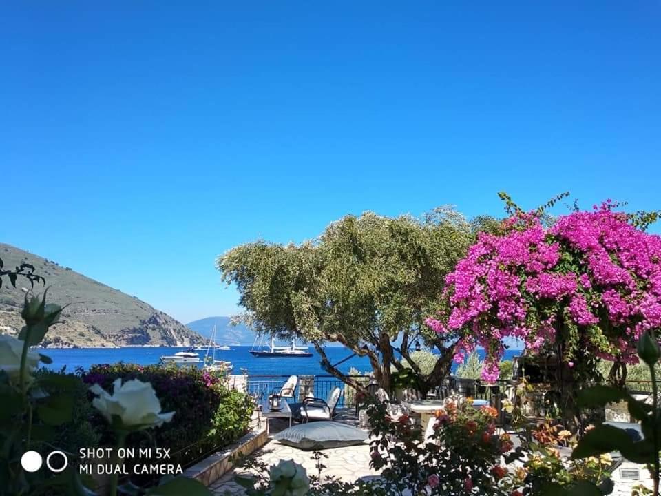 Waterside Apartments Agia Efimia Extérieur photo